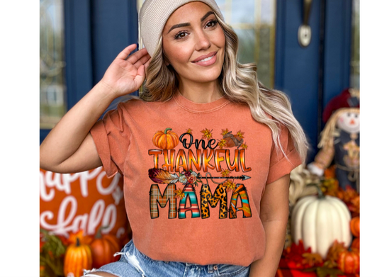 One Thankful Mama